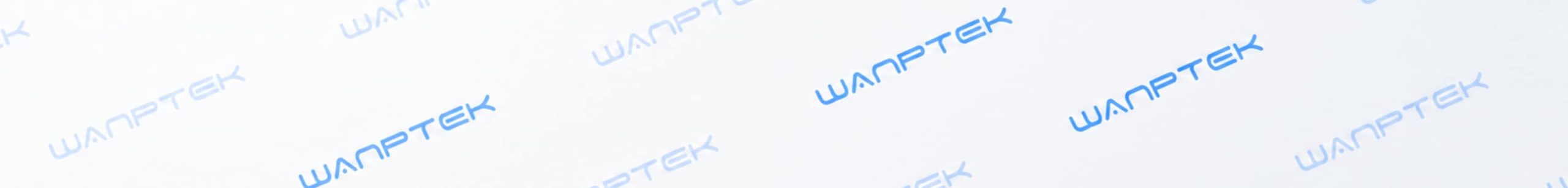 PARTNERSHIP WITH WANPTEK
